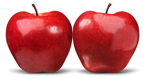 10 loai thuc pham cuc tot cho suc khoe trong mua lanh