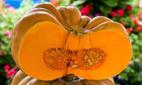 10 loai thuc pham cuc tot cho suc khoe trong mua lanh-Hinh-6