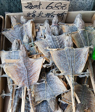 7. Trung Quốc: Súp thằn lằn. Súp chế biến từ thằn lằn khô, khoai mỡ và cây chà là, hầm kĩ nhiều giờ là phương thức chữa cảm lạnh phổ biến ở Trung Quốc. Một cách nấu dân gian khác là nấu thịt thằn lằn với rượu gạo, món ăn này có thể làm giảm sự mệt mỏi của cơ thể khi bị lạnh. 