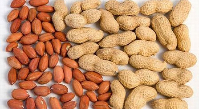 Giảm cholesterol. Làm giảm cholesterol. Lạc (hay đậu phộng) chứa các axit béo đơn không bão hòa, đặc biệt là axit oleic ngăn ngừa các bệnh mạch vành. Lạc làm giảm lượng cholesterol xấu và tăng cholesterol tốt trong cơ thể. Ảnh giadinh.net.vn