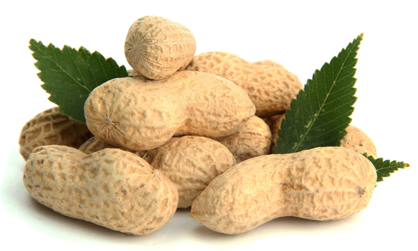 Nguồn cung cấp biotin dồi dào. Lạc là một nguồn cung cấp Biotin dồi dào và cả folate, giúp hỗ trợ tóc khỏe. Biotin là dòng vitamin B, có tác dụng giúp tóc mọc nhanh, khỏe và dày hơn. Chất này do cơ thể tự sản sinh và có thể tìm thấy trong nhiều thực phẩm. Ảnh Dua Kelinci