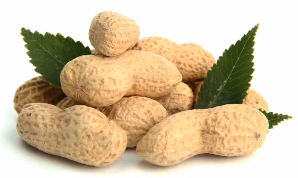 Nguồn cung cấp biotin dồi dào. Lạc là một nguồn cung cấp Biotin dồi dào và cả folate, giúp hỗ trợ tóc khỏe. Biotin là dòng vitamin B, có tác dụng giúp tóc mọc nhanh, khỏe và dày hơn. Chất này do cơ thể tự sản sinh và có thể tìm thấy trong nhiều thực phẩm. Ảnh Dua Kelinci