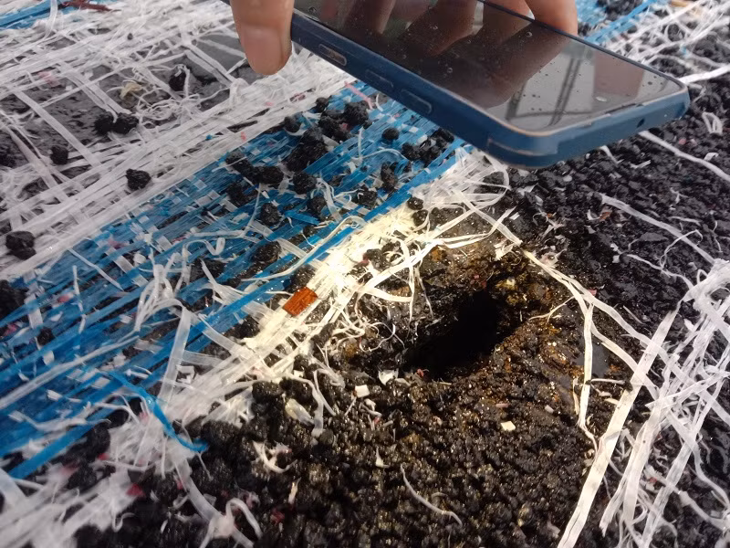 Sau 6 thang nut vo, hien trang de Huu Hong the nao?-Hinh-6