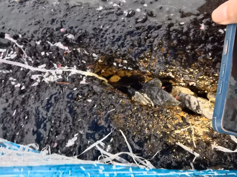 Sau 6 thang nut vo, hien trang de Huu Hong the nao?-Hinh-8