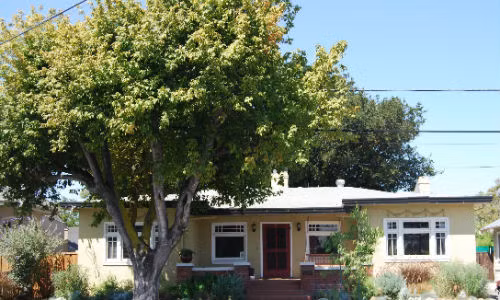 Ngay trước cửa nhà có cây to mang lại bóng mát nhưng theo phong thủy lại là vật cản luồng khí tốt vào nhà. Người sống dễ sinh bệnh tật. Ảnh: Loui Tucker. (Bài viết chỉ mang tính chất tham khảo, cung cấp nội dung mang tính trắc nghiệm vui cho bạn đọc).