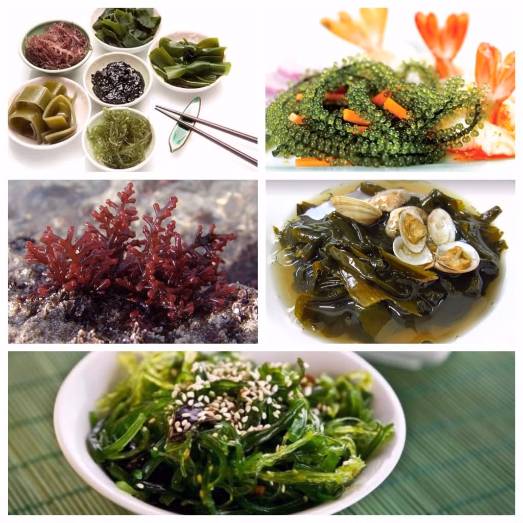 5 thuc pham tot cho nguoi he tieu hoa kem-Hinh-2