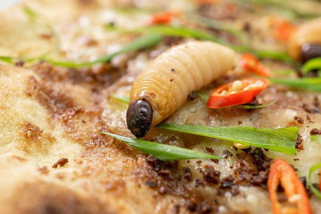 Ngay khi vừa xuất hiện, món pizza đặc biệt này đã nhận nhiều ý kiến trái chiều. Trong khi một số cho rằng đây là ý tưởng độc đáo, mới lạ khi kết hợp hương vị pizza Ý đặc trưng với loại đuông dừa đặc sản của Việt Nam thì một số khác lại nhận xét đây là món bánh pizza kinh dị nhất mà họ từng thấy. Ảnh: Dân Việt.