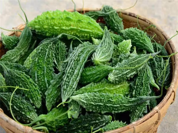 Mướp đắng: Một trong những bài thuốc dân gian chữa rôm sảy hiệu quả và lành tính chính là mướp đắng. Lấy 1-2 quả mướp đắng, thái nhỏ rồi cho vào máy xay nhuyễn cùng nước đun sôi để nguội, lọc bỏ bã, lấy phần nước thu được hòa vào nước tắm cho con. Những tinh chất của mướp đắng sẽ thẩm thấu vào da, làm dịu những vết rôm sảy và kích ứng da.