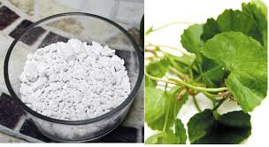 Rau má+bột sắn dây: Dùng 10g bột sắn dây, 30g rau má (tươi). Rau má rửa sạch, giã nát, thêm lượng nước sôi để nguội đủ dùng. Vắt lấy nước rau má, bỏ bã, hòa với bột sắn dây, cho đường vừa khẩu bị, uống từng ngày.