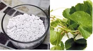 Rau má+bột sắn dây: Dùng 10g bột sắn dây, 30g rau má (tươi). Rau má rửa sạch, giã nát, thêm lượng nước sôi để nguội đủ dùng. Vắt lấy nước rau má, bỏ bã, hòa với bột sắn dây, cho đường vừa khẩu bị, uống từng ngày.