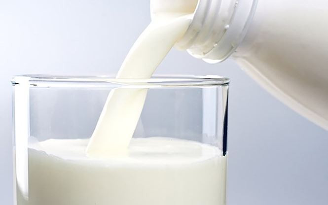 Sữa ít béo: Một nghiên cứu đăng trên Tạp chí Y khoa New England cho thấy những người uống sữa ít béo hoặc sữa chua không đường ít nhất hai lần một tuần đã giảm 48% lượng acid uric trong máu so với những người không uống sữa.