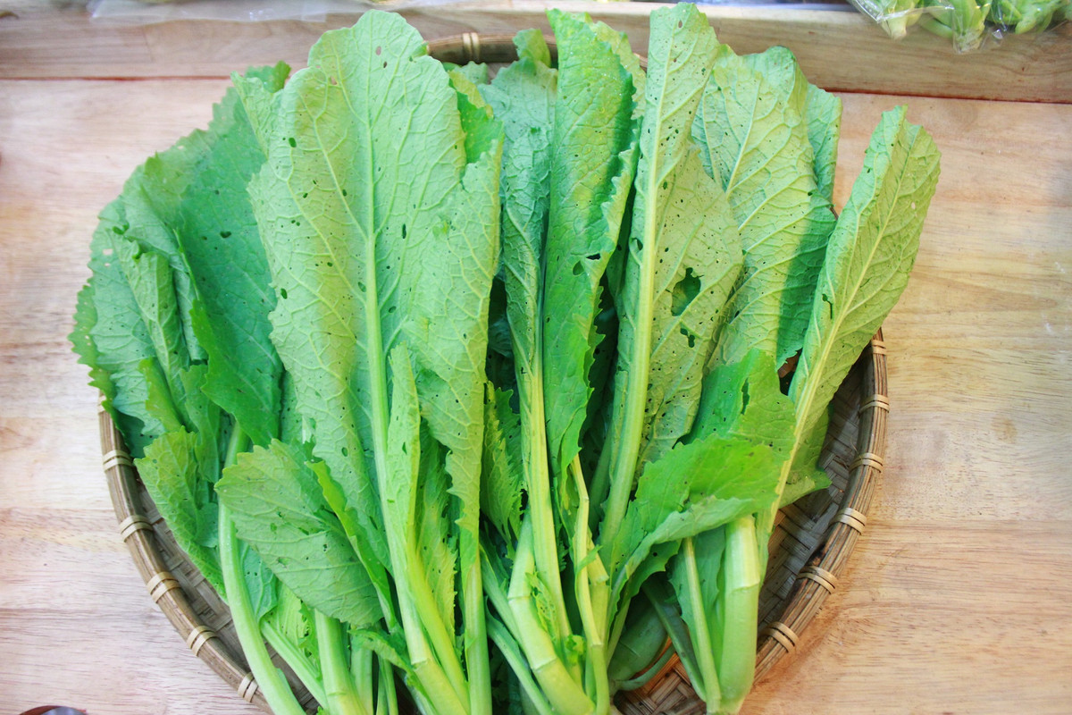 Cải xanh là loại rau kiềm tính và hầu như không chứa nhân purin. Cải xanh có tác dụng giải nhiệt trừ phiền, thông lợi tràng vị. Loại rau này còn có tác dụng lợi tiểu, rất thích hợp với người bị bệnh gout.