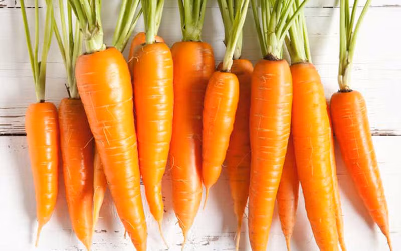 Cũng giống như tỏi và nghệ, cà rốt cũng có đặc tính chống oxy hóa cao. Đặc biệt, trong cà rốt còn chứa rất nhiều các vitamin, khoáng chất và các chất xơ cần thiết cho cơ thể, giúp giảm axit béo và loại bỏ chất độc khỏi gan.