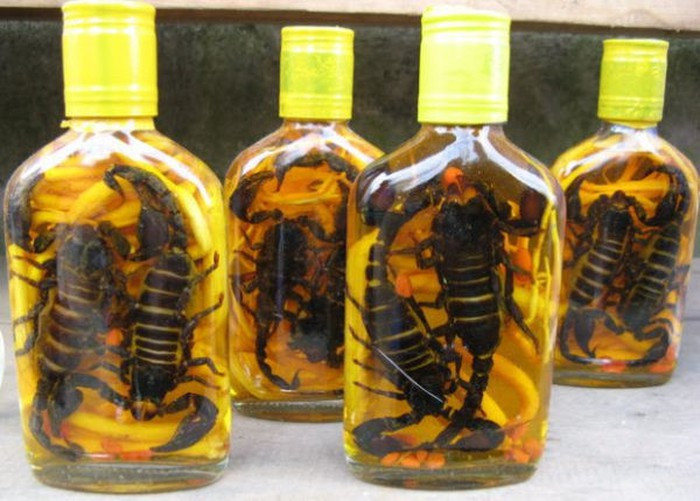 Ngoài giá trị dinh dưỡng, bò cạp từ lâu còn được sử dụng làm thuốc để chữa bệnh hiệu quả. Đông y thường sử dụng bò cạp để chữa một số chứng phong như co giật, đau nhức, hôn mê… Người dân vùng Bảy Núi còn có “bí quyết” chữa các chứng đau lưng, nhức mỏi, đau khớp mãn tính bằng cách dùng bò cạp chiên với rượu ngâm bò cạp. Ảnh: Internet. 