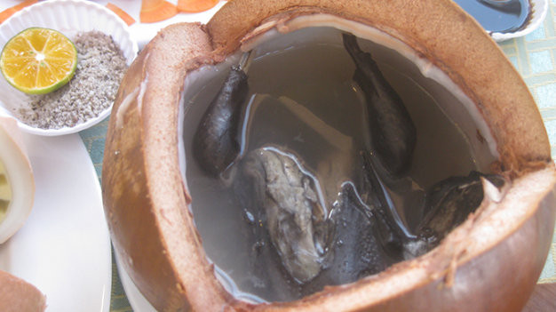 Gà ác hấp quả dừa: Đây là một món ăn khá kỳ công, yêu cầu sự kiên nhẫn và tỉ mỉ. Ngoài việc làm gà, ướp gà, người ta cũng phải chọn những trái dừa phù hợp, chặt bỏ phần chóp sao cho miệng rộng bằng một cái chén nhỏ. Sau đó đổ nước dừa ra ngoài rồi mới sắp gà cùng các loại nguyên liệu khác vào, rồi mới cho nước dừa vào lại.