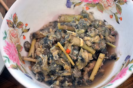 Những con nòng nọc do loài ếch đá trong rừng đẻ vào các tháng mùa mưa thường béo tròn, to bằng ngón tay, khác hẳn nòng nọc dưới xuôi.