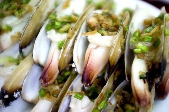 Tù hài còn được gọi với cái tên đáng yêu: ốc vòi voi. Loại nhuyễn thể này có vỏ ngoài màu trắng ngà, hai vỏ khép hờ. Nhô ra giữa hai lớp vỏ là chiếc xúc tu dài, to hình trụ, nhìn không khác nào một chiếc vòi voi.