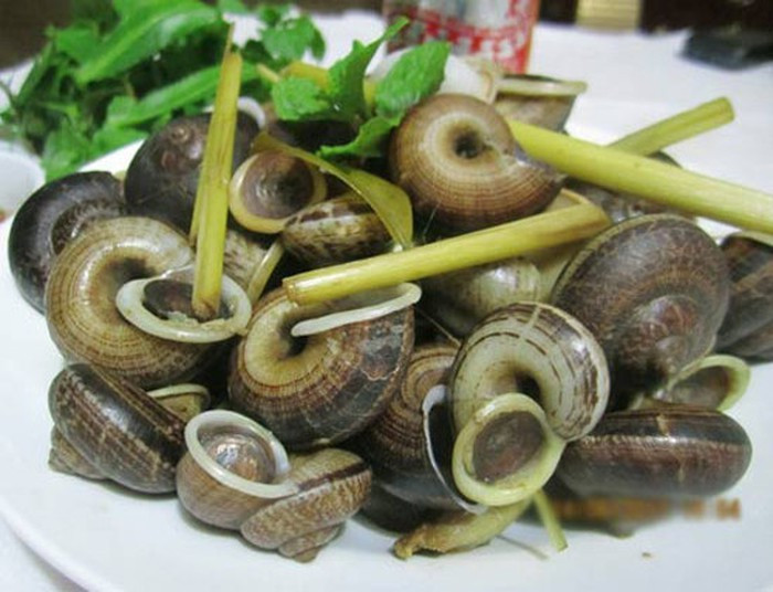 Ốc đá: Món ngon ở Mộc Châu này thường chỉ xuất hiện từ tháng 4 đến cuối tháng 8. Ốc đá có mình dẹp, to trung bình bằng hai đốt ngón tay, miệng loe ra có màu trắng sữa. Ốc được chế biến đơn giản như luộc ăn chấm với nước chấm xả ớt. Ảnh: Toidi.