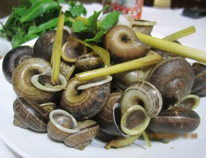 Ốc đá: Món ngon ở Mộc Châu này thường chỉ xuất hiện từ tháng 4 đến cuối tháng 8. Ốc đá có mình dẹp, to trung bình bằng hai đốt ngón tay, miệng loe ra có màu trắng sữa. Ốc được chế biến đơn giản như luộc ăn chấm với nước chấm xả ớt. Ảnh: Toidi.