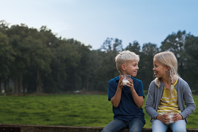 Các thống kê cho thấy người Hà Lan dành một phần sáu chi tiêu thực phẩm dành cho các món làm từ sữa. Lượng tiêu thụ các sản phẩm từ sữa hàng năm của người Hà Lan cao hơn 25% so với người Anh, Mỹ, Đức.