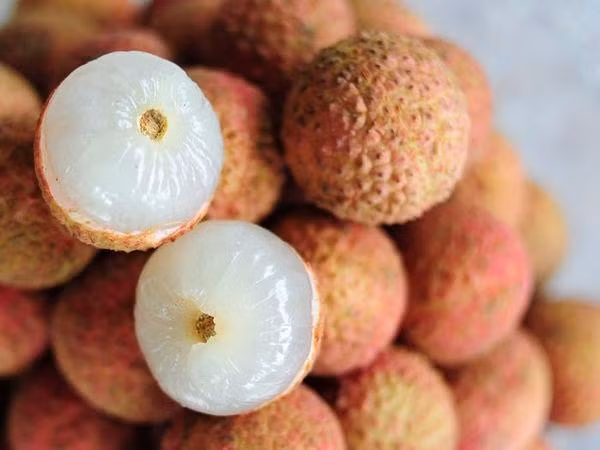 Hoc Duong Quy Phi bi kip co lan da trang khong ti vet, vong 1 cang tron-Hinh-5