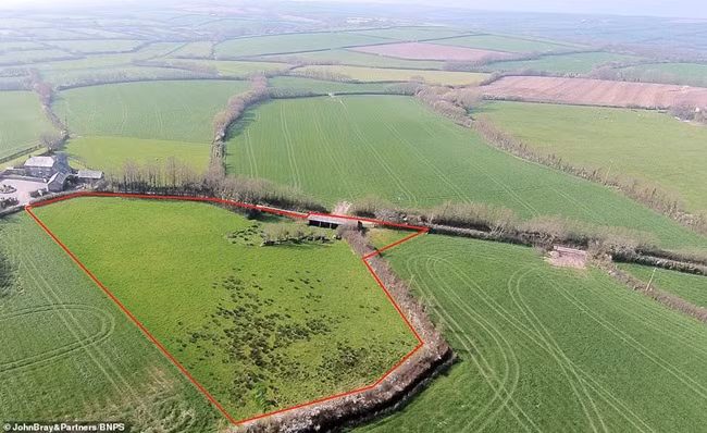 Giat minh chuong bo xieu veo, trong hoac rao ban 4,3 ty-Hinh-2