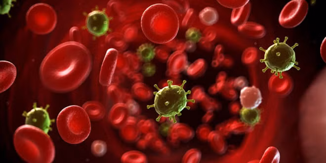 Nhiễm trùng máu ở trẻ em cực nguy hiểm, các mẹ tuyệt đối đừng chủ quan - Hình 2 Nhiem trung mau o tre em cuc nguy hiem, cac me tuyet doi dung chu quan-Hinh-2