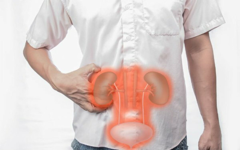 Tăng nguy cơ mắc các bệnh về thận: Thức ăn nhanh chứa một lượng muối khá lớn có thể phá vỡ sự cân bằng của natri và kali, gia tăng gánh nặng cho thận.