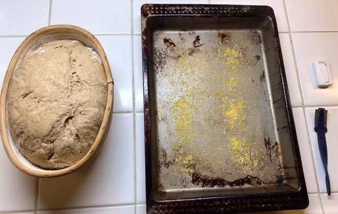 Ổ bánh mì có men 4500 năm tuổi sau khi nướng xong có hình dạng không quá khác biệt, thế nhưng kết cấu của nó xốp, mềm, mùi thơm và có vị thật đáng kinh ngạc. Nó có vị ngọt, đậm đà hơn nhiều so với bánh mì sourdough (một loại bánh mì cũng làm từ men và vi khuẩn). Hơn thế nữa, đây còn là ổ bánh 100% cổ xưa.