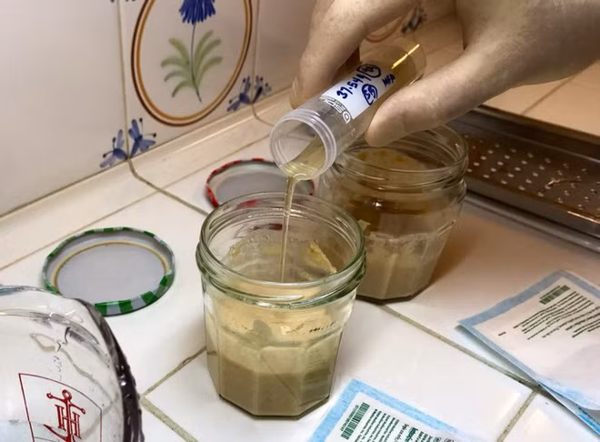 Blackley đã tách và chiết xuất ra một loại men có chứa vi khuẩn cổ đại, sau đó trộn vào bột lúa mạch làm bánh mì và ủ lên men.