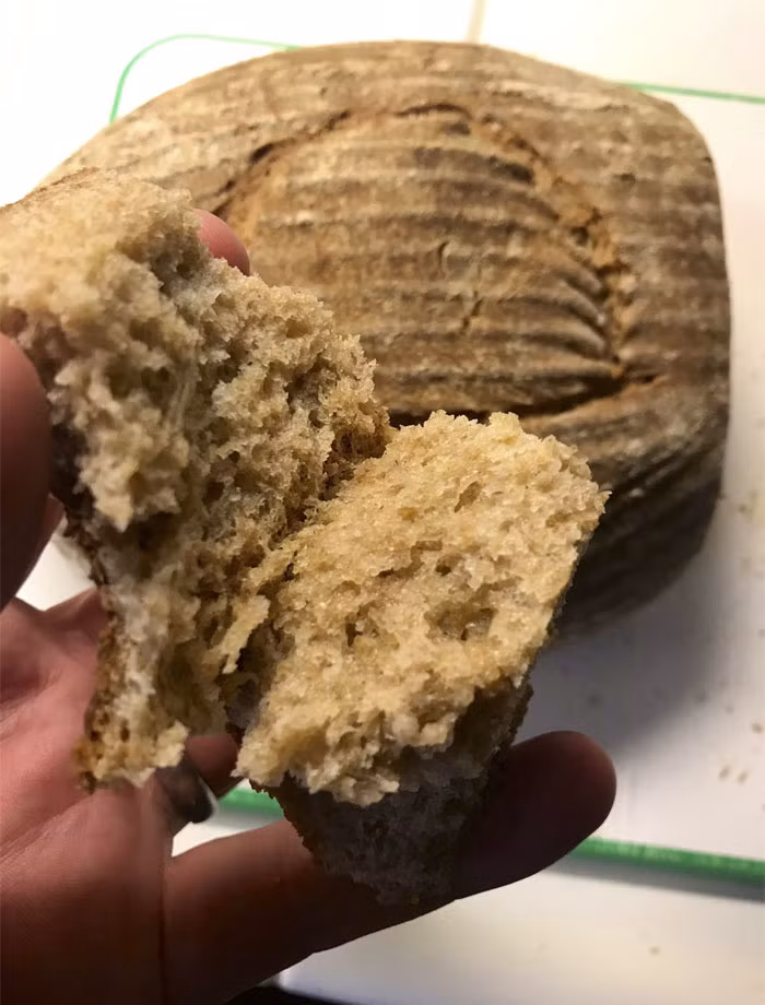 Ngon và thú vị là vậy nhưng Blackley không có ý định bán những chiếc bánh làm từ men ủ cả ngàn năm để bày bán ở cửa hàng. Ông cho biết, đây đơn giản chỉ là một thử nghiệm.