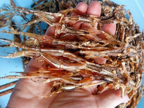 Sở dĩ gán cho chúng cái tên mỹ miều như thế bởi vì khi phơi, những "nàng" nhái nằm với tư thế rất độc đáo, nhìn là liên tưởng ngay đến mấy cô mẫu đang tắm nắng. Bên cạnh đó, nhờ hương vị thơm ngon, đưa đẩy vị giác của chúng nên người ta gọi vậy cho sang.