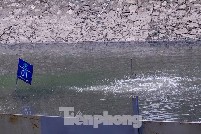 Khu vuc dat thi nghiem lam sach song To Lich cua Nhat ra sao sau vu xa nuoc Ho Tay?-Hinh-4