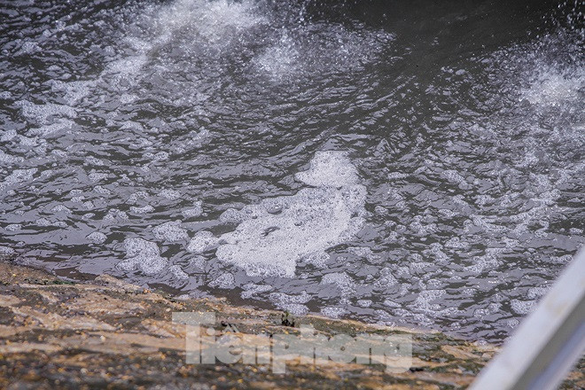 Khu vuc dat thi nghiem lam sach song To Lich cua Nhat ra sao sau vu xa nuoc Ho Tay?-Hinh-10