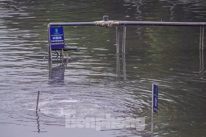 Khu vuc dat thi nghiem lam sach song To Lich cua Nhat ra sao sau vu xa nuoc Ho Tay?-Hinh-8