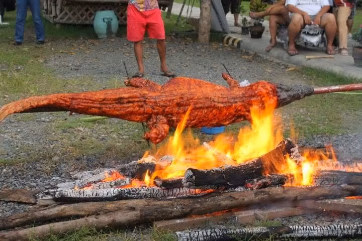 Hầu hết cá sấu được sử dụng làm thức ăn đều được nuôi trong trang trại, không phải cá sấu sống trong môi trường tự nhiên. Có rất nhiều trang trại nuôi cá sấu ở Philippines, nhưng nổi tiếng nhất là Coral Agri, Inc. (CAVFI) ở Davao, tỉnh Rizal. Đây là trại nuôi cá sấu thương mại lớn nhất Philippines, có khoảng 15.000 con cá sấu được nuôi tại đây. Ảnh: Blogspot.