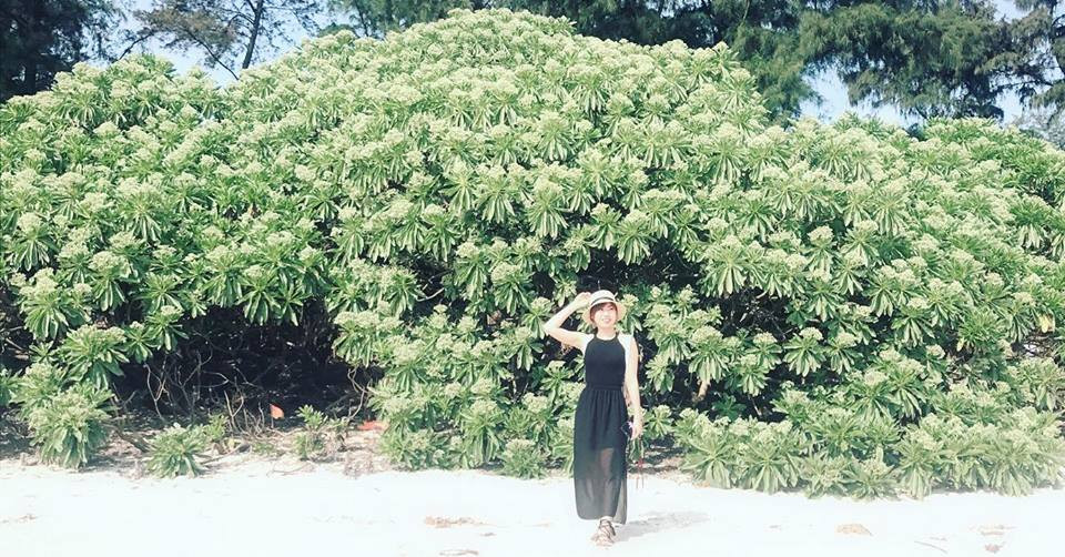 Cô nàng thường xuyên đăng ảnh đi du lịch khắp nơi. Trang phục đi du lịch của Nguyễn Nụ khá trẻ trung và điệu đà.