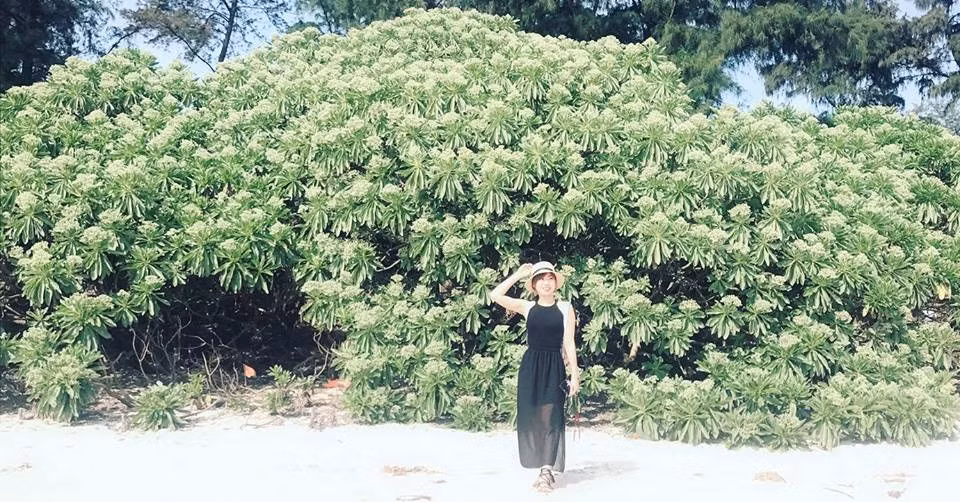 Cô nàng thường xuyên đăng ảnh đi du lịch khắp nơi. Trang phục đi du lịch của Nguyễn Nụ khá trẻ trung và điệu đà.