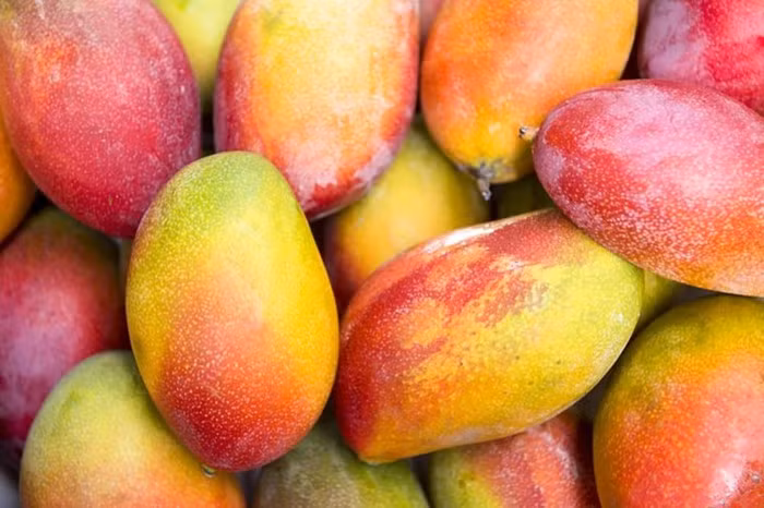 Xoài có chứa hàm lượng cao beta-caroten mà cơ thể có thể chuyển hóa thành vitamin A, thúc đẩy sự phát triển của xương và tăng cường miễn dịch.