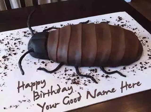 Chiếc bánh hình con bọ dành cho người yêu thích động vật?