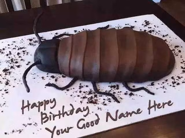 Chiếc bánh hình con bọ dành cho người yêu thích động vật?