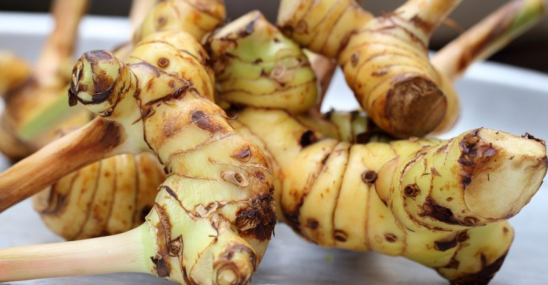 Cu rieng khong chi tot cho tieu hoa ma con tang luong tinh binh