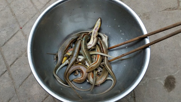 Rắn mối nấu cháo: Đem luộc thịt rắn mối rồi xào sơ qua với hành tỏi, tiêu, nước mắm cho thấm và thịt rắn sẽ thơm ngon hơn. Kế tiếp, dùng nước luộc rắn mối nấu cháo đến khi nhừ thì bỏ thịt rắn vào và nêm gia vị cho vừa ăn. Ảnh: Youtube.