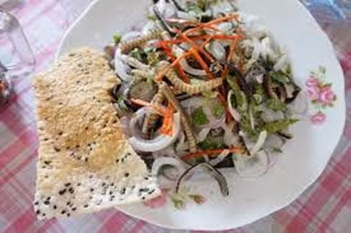 Gỏi thịt rắn mối: rắn mối nướng chín gỡ lấy thịt, xào thơm, trộn với ngó sen, hành tây, rau ngò tàu, chanh, đậu phộng rang, gia vị vừa đủ ăn làm gỏi ăn. Ảnh: Xahoi.