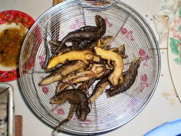 Rắn mối mang về được đem cạo sạch vảy, chặt bỏ đầu, chân, bỏ ruột. Lưu ý, bằng mọi giá phải giữ lại chiếc đuôi của loài bò sát này vì đây mới là phần bổ nhất. Ảnh: YouTube.