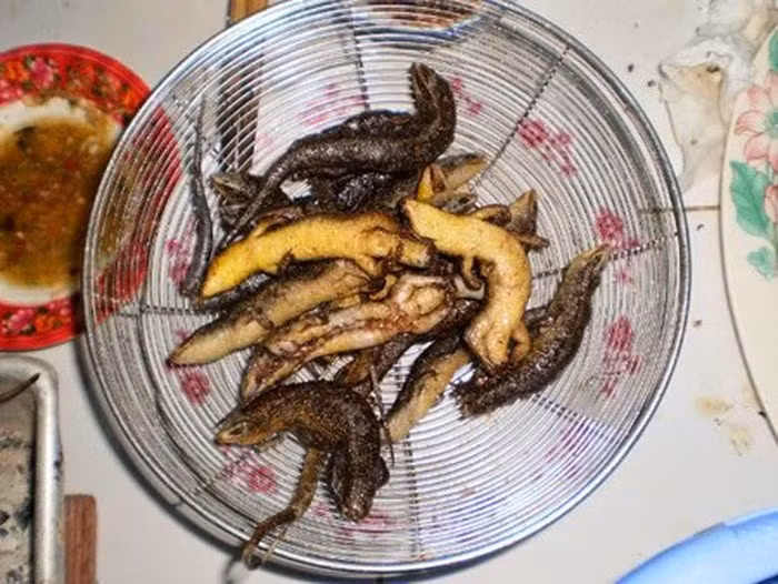 Rắn mối mang về được đem cạo sạch vảy, chặt bỏ đầu, chân, bỏ ruột. Lưu ý, bằng mọi giá phải giữ lại chiếc đuôi của loài bò sát này vì đây mới là phần bổ nhất. Ảnh: YouTube.