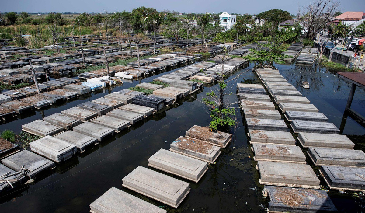 Noi khong ngung chim xuong bien, sap bien mat vinh vien o DNA-Hinh-2