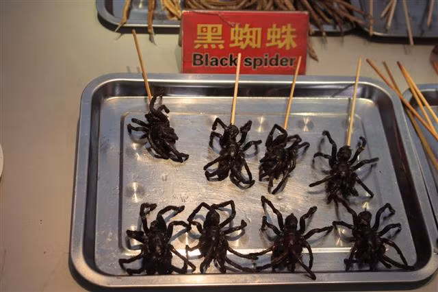 Côn trùng chiên là một trong những món ăn đường phố đặc biệt ở Bắc Kinh và nhiều người thích nó, đặc biệt là bọ cạp và nhộng.