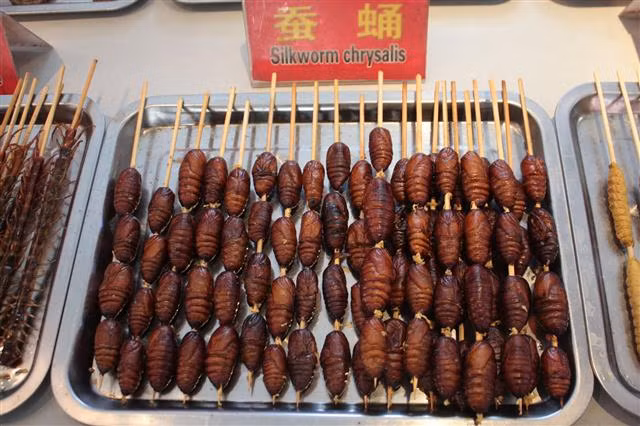 Mặc dù côn trùng cung cấp một lượng lớn protein, chất dinh dưỡng và khoáng chất cao hơn so với thịt bò, thịt gà, cá…nhưng khi nhìn vào vẻ bề ngoài của chúng, không ít người phải bỏ chạy ngay.