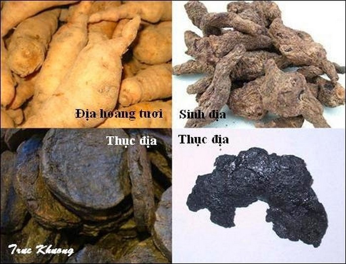 Các thôn nữ dùng cách đơn giản như vậy, còn các cung nữ thì lại lưu truyền bài thuốc làm vòng 1 nảy nở là dùng thục địa, gừng khô, đảng sâm, mạch nha vào nồi sắc lấy nước. Kẹo mạch nha đem chưng cho tan và pha với nước uống 3 lần/ngày. Ảnh: SKĐS.